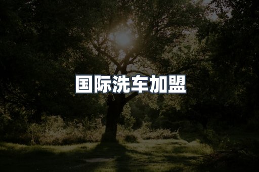 国际洗车加盟