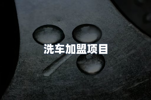 洗车加盟项目
