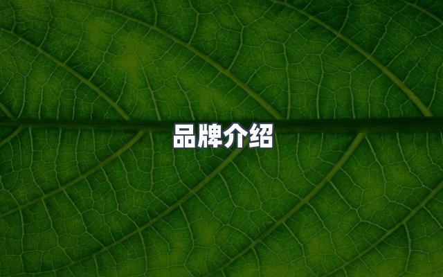 团队合作